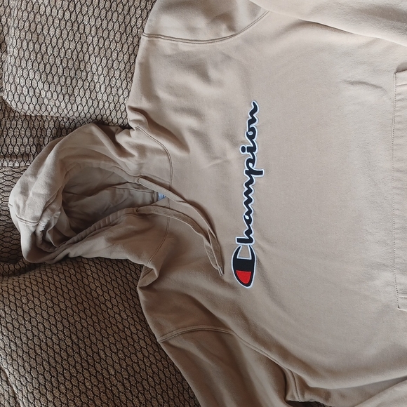 Champion Hoodie EUC sz XL - Picture 2 of 5